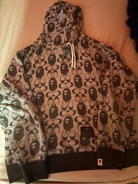 BAPE x coach hoodie